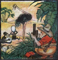 Nestor Fenleroc, europæisk kolon fotograferer en struds i Afrika. 1923 (gravering)