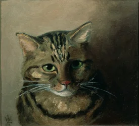 Hovedstudie af en stribet kat