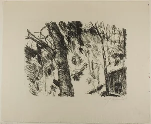 Beech Woods, fra det tidlige forår i bjergene