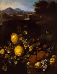 Stilleben