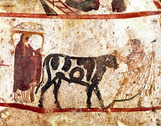 En tyr fører på alteret af offeret Lucanian fresco fra det 4. århundrede f.Kr., fra nekropolis Andriuolo i Paestum, Italien. Museo nazionale archeologico, Paestum