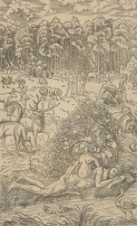 Evas skabelse
