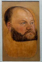 Portræt af prins Wolf Anhalt af Sachsen, prins af reformen Pasteltegning af Lucas Cranach den Gamle (eller den ældre)