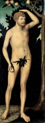 ""Adam"" Maleri af Lucas Cranach II den yngre (1515-1586) Efter 1537 Dim 171 x 63 cm Tyskland Dresden State Art Collections