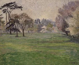 Blomst, sol og tåge: Chipperfield