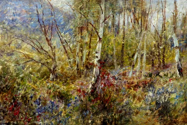 Woodland, af Ludovico Cavaleri (1867-1942), olie på panel, 50x75 cm