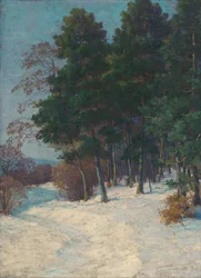 Skov om vinteren