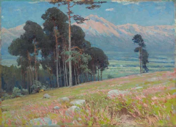 Sommersne i Tatras