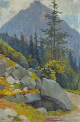 Tatra bjergene