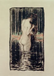 Badegæster