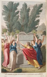 Heliades ind i træer, der giver Amber eller Le Sorelle di Fetonte Cangiante i Pioppi, illustration fra Ovids Metamorphoses, Firenze, 1832 (håndfarvet gravering)
