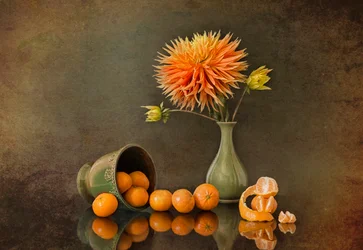 Efterårsdahlia og mandariner