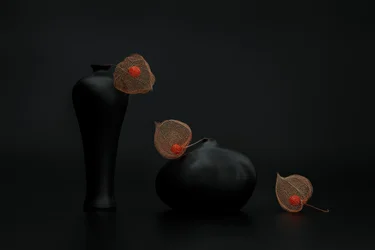Kinesiske lanterner og sorte vaser