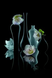 Elegant blomsterpragt