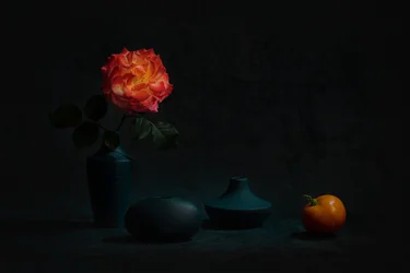 Glødende orange rose