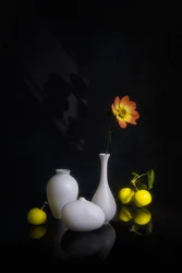 Stemningsfuld blomst og frugt