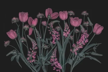 Stemningsfulde lyserøde blomster