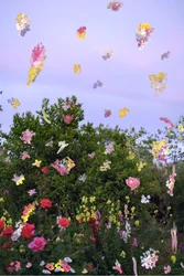 Abstraherede blomster, 2019 (akrylmaling på arkivbestandigt pigmentprint)