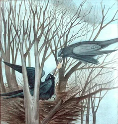 Two Rooks fodring i et træ (blyant og akvarel på papir)