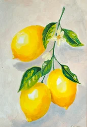 Stilleben med lysende citron