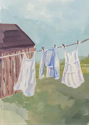 Sommervaskedag