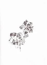 Abstrakte blomsteraftryk