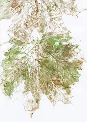 Efterårsblad-mønster