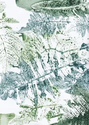 Botaniske indtryk af bregner
