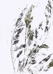 Botanisk græsmønster