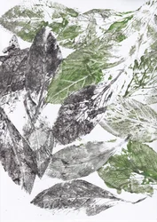 Botaniske bladmønstre