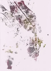 Jordnære botaniske indtryk