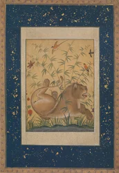 Løve i hvile, ca. 1585.