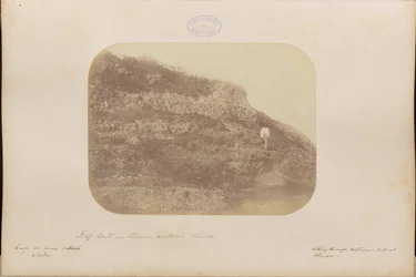 Skåret i kridt-terrænet, Olinda
