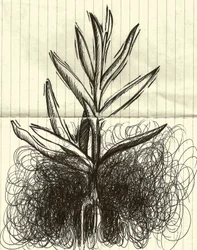 Plant, 2014 (blæk på papir)