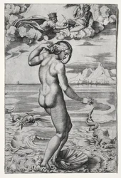 Venus