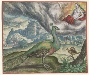 Fabel om påfuglen og nattergalen