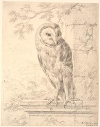 Baron von Stoschs ugle