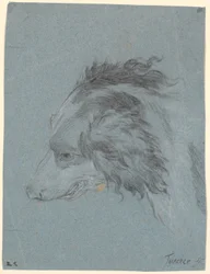 Et hundehoved