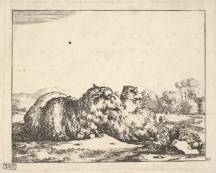 Får, fra et sæt af 16 plader, 1664.