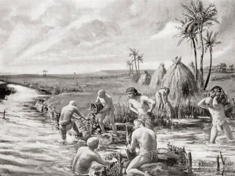 De første nybyggere i Babylonien drænede sumpene ved at bygge en dæmning, fra Hutchinson
