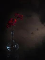 Stemningsfulde røde blomster