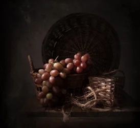 Dark Harvest-druer