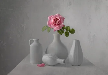 Stilleben med en delikat lyserød rose