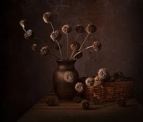 Jordfarvede tørrede blomster