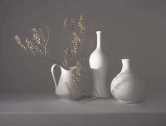 Minimalistisk botanisk stilleben