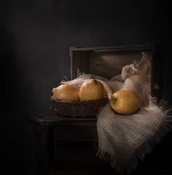 Rustikt citrusstilleben