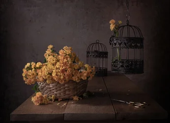 Rustikke gule blomster