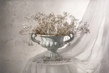 Blomsterstilleben i shabby chic-stil