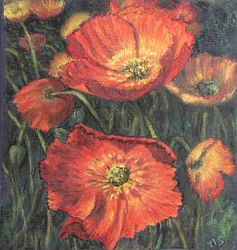 Første valmuer, 2020 (pastel)