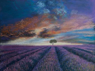 Lavendelmarker i Normandiet, 2020 (pastel)